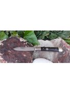 Kis rác bicska wenge fával napkoronggal