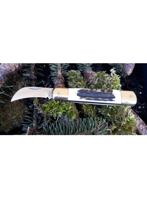  Nail-cutting pocket knife with deer antler handle
