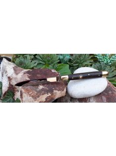 Szalonnázó bicska napkoronggal