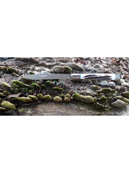 Magyar bicska szalonnázó agancs markolattal nemzetiszín berakással