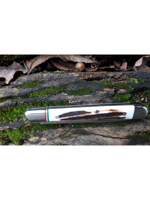 Magyar bicska szalonnázó agancs markolattal nemzetiszín berakással