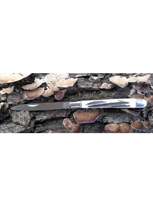 Magyar bicska szalonnázó agancs markolattal nemzetiszín berakással