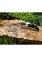 Dixon hunting knife with deer antler handle