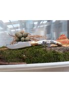 Magyar bicska nagyfejes gravírozott motívumokkal