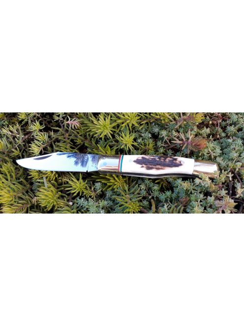 Kismaskara agancs markolattal nemzetiszín berakással