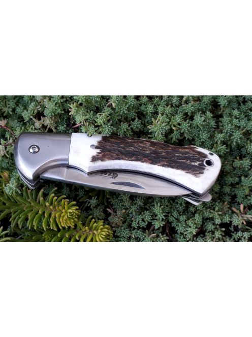 Bone saw dixon large hunting knife with antler handle