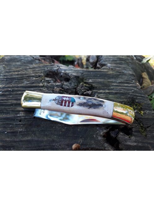 Tradícionális nagy maskara bicska intarzia címerrel