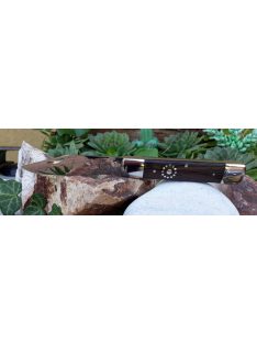 Arató-náder hibrid napkoronggal