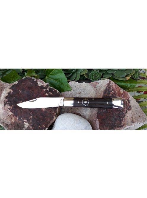 Arató-náder hibrid napkoronggal