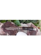 Arató-náder hibrid napkoronggal