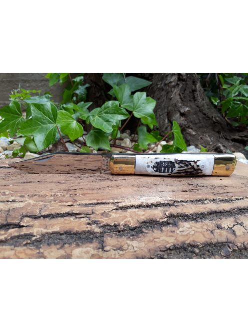 Magyar bicska arató-náder hibrid címer gravírozással