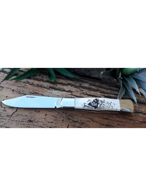 Cakli bicska motívummal