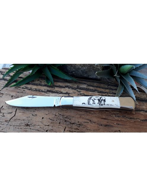 Cakli bicska motívummal