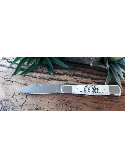 Cakli bicska motívummal