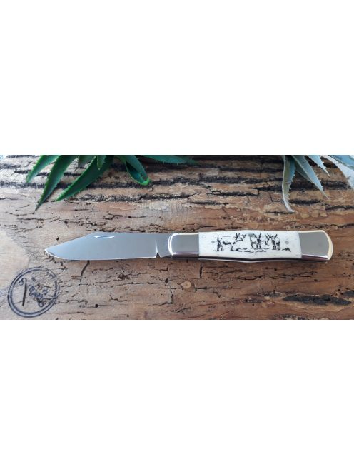 Cakli bicska motívummal