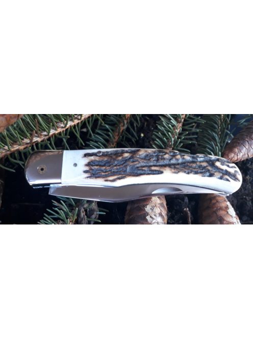 Hátsó záras góliát maskara bicska